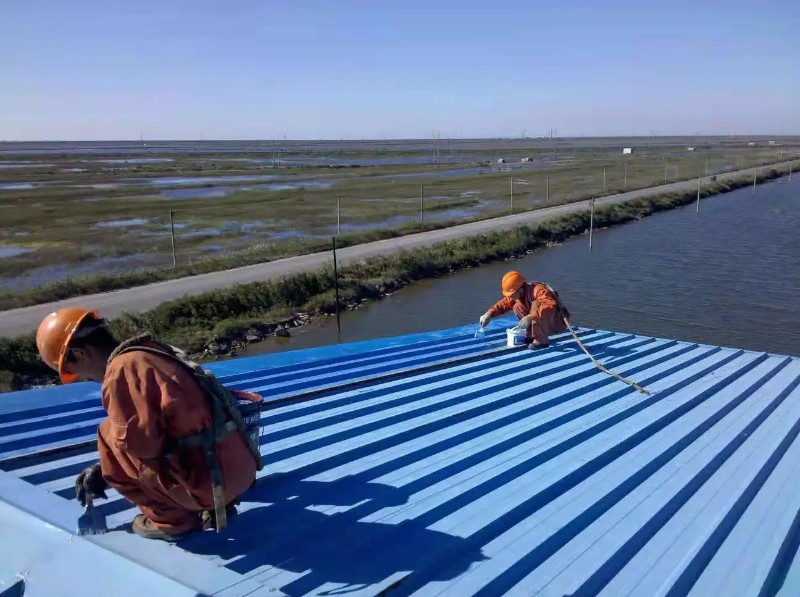 顺昌钢结构屋面漏水原因